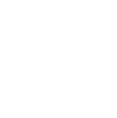 Flying ducks